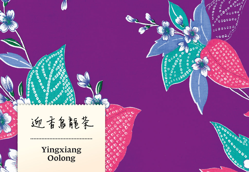 Yingxiang Oolong Holzkohle Röstung