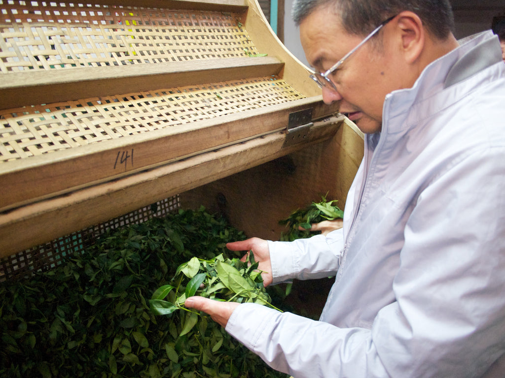 Vortrag und Teedegustation mit Meister Chen, Huantang 2019