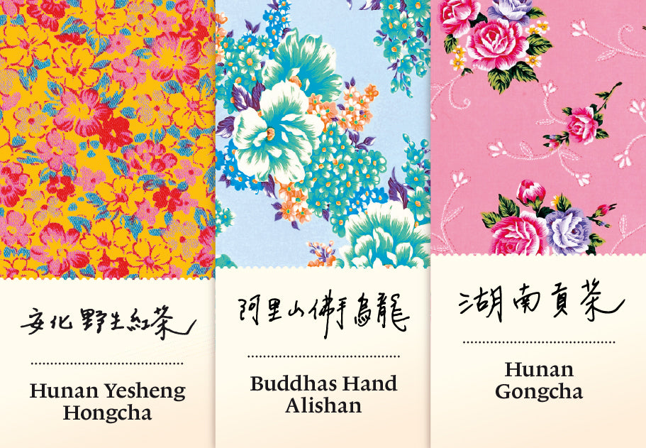 Frühlingsselektion 2026 | Spring Selection 2026