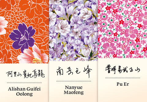 Winterselektion 2025 | Winter Selection 2025