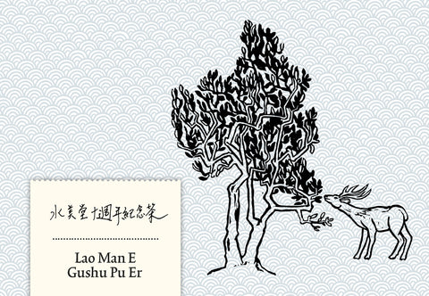 Jubiläumstee – Lao Man E Gushu Pu Er